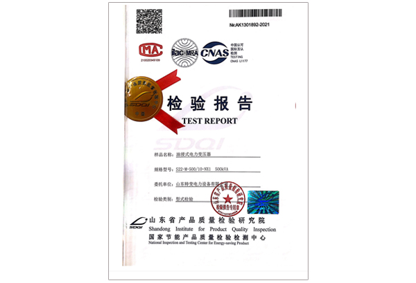 S22-M-500/10-NX1������ѹ��
